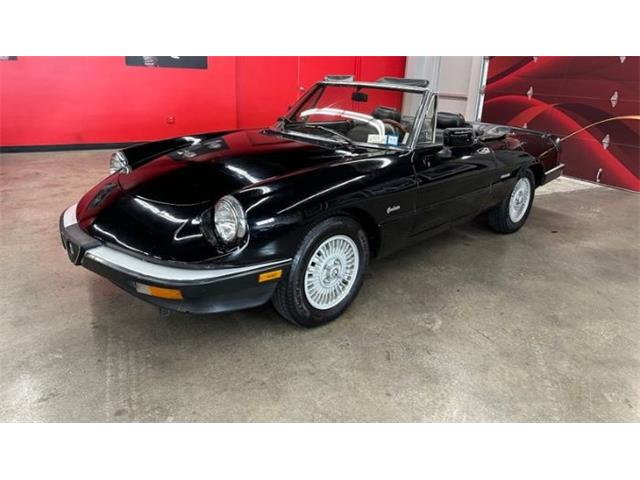 1987 Alfa Romeo Spider Veloce (CC-2081425) for sale in Cadillac, Michigan
