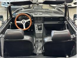 1987 Alfa Romeo Spider Veloce (CC-2081425) for sale in Cadillac, Michigan