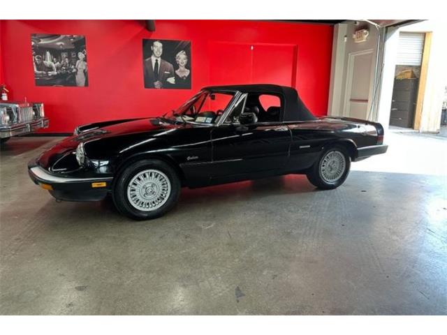 1987 Alfa Romeo Spider Veloce (CC-2081425) for sale in Cadillac, Michigan