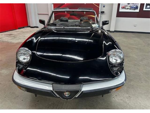 1987 Alfa Romeo Spider Veloce (CC-2081425) for sale in Cadillac, Michigan
