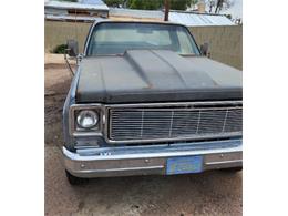 1977 Chevrolet K-20 (CC-2081435) for sale in Cadillac, Michigan