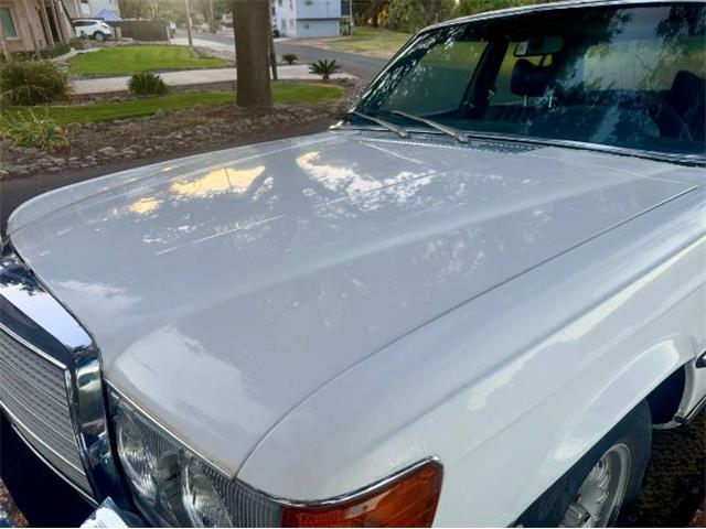 1976 Mercedes-Benz 450SE (CC-2081439) for sale in Cadillac, Michigan
