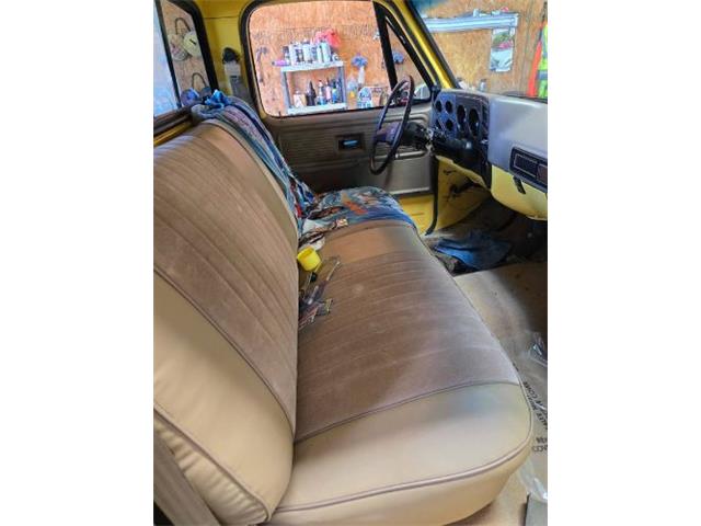 1979 GMC C15 (CC-2081463) for sale in Cadillac, Michigan