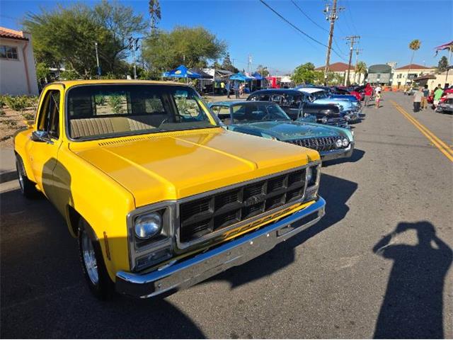 1979 GMC C15 (CC-2081463) for sale in Cadillac, Michigan