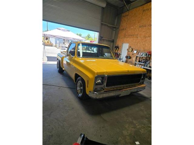 1979 GMC C15 (CC-2081463) for sale in Cadillac, Michigan