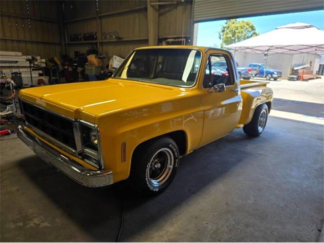 1979 GMC C15 (CC-2081463) for sale in Cadillac, Michigan