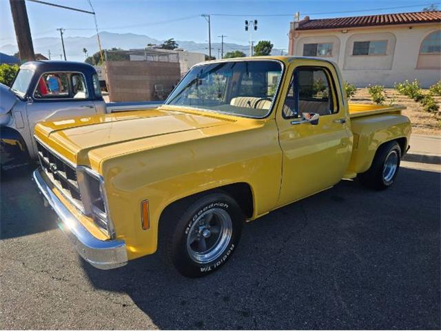1979 GMC C15 (CC-2081463) for sale in Cadillac, Michigan