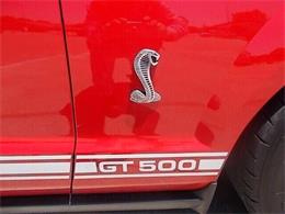 2008 Ford Shelby GT500  (CC-2081464) for sale in Hobart, Indiana