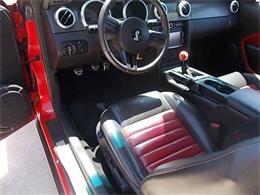 2008 Ford Shelby GT500  (CC-2081464) for sale in Hobart, Indiana