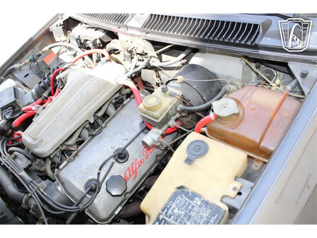 1981 Alfa Romeo GTV6 (CC-2081474) for sale in Houston, Texas