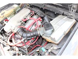 1981 Alfa Romeo GTV6 (CC-2081474) for sale in Houston, Texas