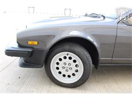 1981 Alfa Romeo GTV6 (CC-2081474) for sale in Houston, Texas