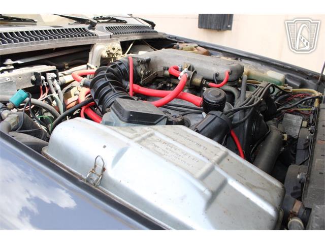 1981 Alfa Romeo GTV6 (CC-2081474) for sale in Houston, Texas