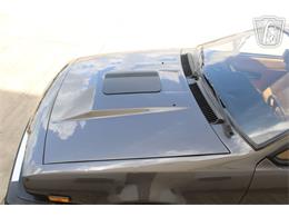 1981 Alfa Romeo GTV6 (CC-2081474) for sale in Houston, Texas