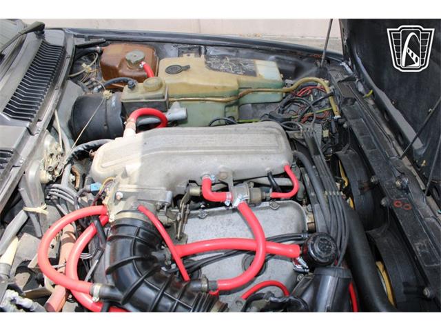 1981 Alfa Romeo GTV6 (CC-2081474) for sale in Houston, Texas