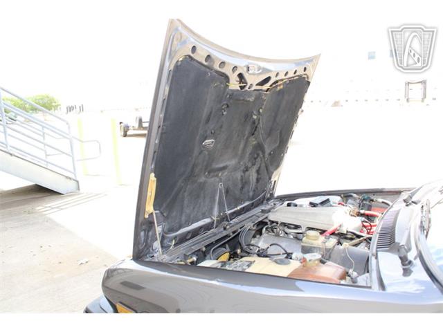 1981 Alfa Romeo GTV6 (CC-2081474) for sale in Houston, Texas