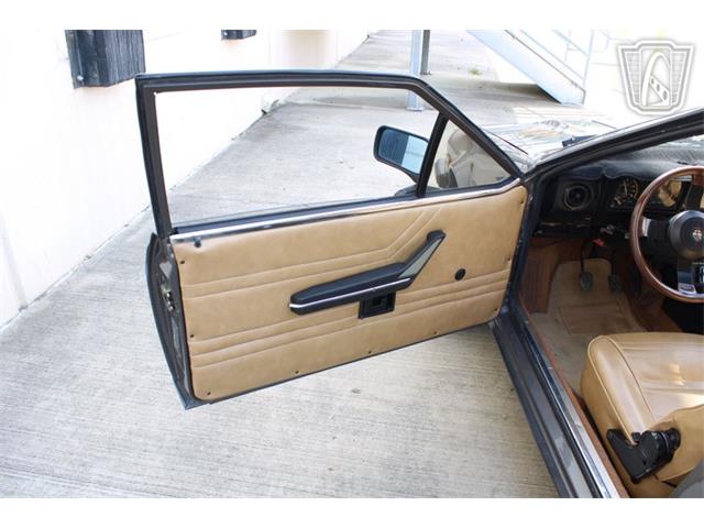 1981 Alfa Romeo GTV6 (CC-2081474) for sale in Houston, Texas