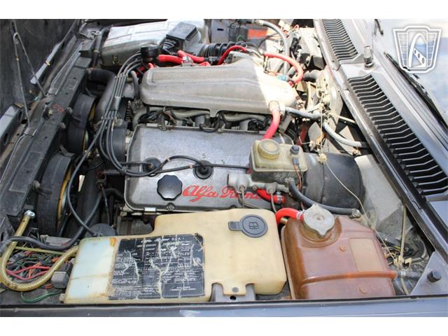 1981 Alfa Romeo GTV6 (CC-2081474) for sale in Houston, Texas