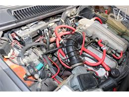 1981 Alfa Romeo GTV6 (CC-2081474) for sale in Houston, Texas