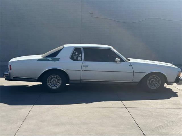 1978 Chevrolet Caprice Classic (CC-2081476) for sale in Cadillac, Michigan
