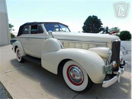 1938 LaSalle Series 50 (CC-2081479) for sale in Crete, Illinois