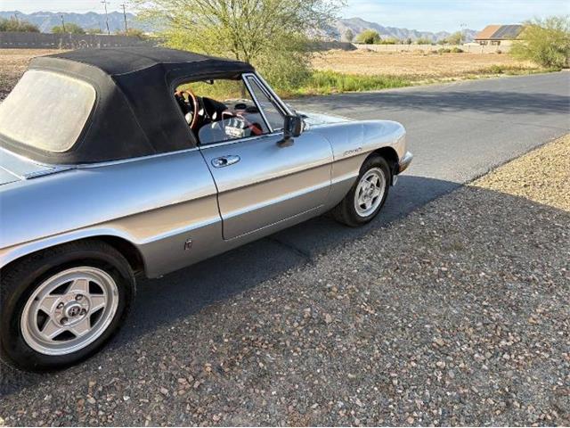 1985 Alfa Romeo Spider Veloce (CC-2081484) for sale in Cadillac, Michigan