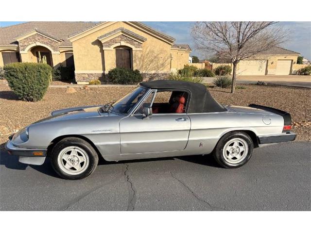 1985 Alfa Romeo Spider Veloce (CC-2081484) for sale in Cadillac, Michigan