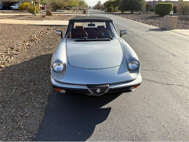 1985 Alfa Romeo Spider Veloce (CC-2081484) for sale in Cadillac, Michigan