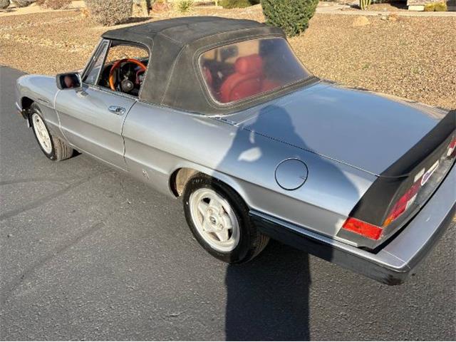1985 Alfa Romeo Spider Veloce (CC-2081484) for sale in Cadillac, Michigan