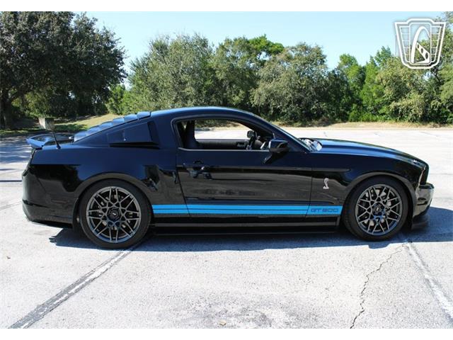 2013 Ford Shelby GT500  (CC-2081485) for sale in Lake Mary, Florida