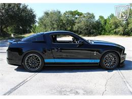 2013 Ford Shelby GT500  (CC-2081485) for sale in Lake Mary, Florida