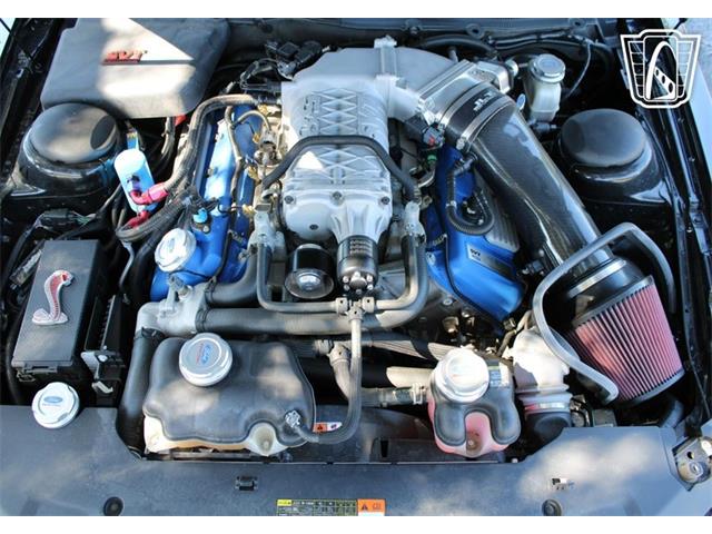 2013 Ford Shelby GT500  (CC-2081485) for sale in Lake Mary, Florida