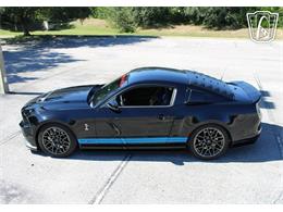 2013 Ford Shelby GT500  (CC-2081485) for sale in Lake Mary, Florida