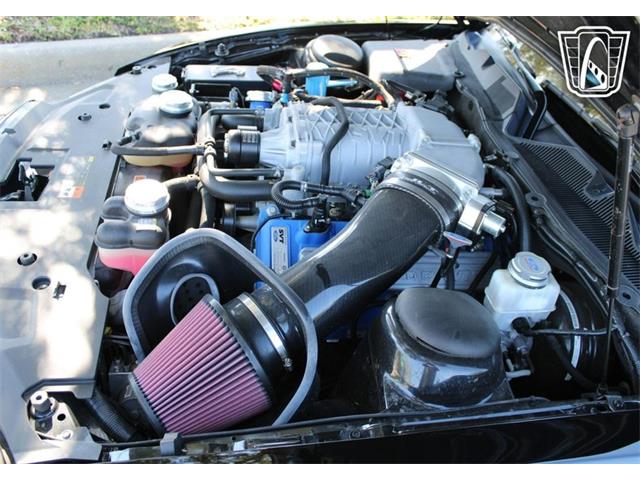 2013 Ford Shelby GT500  (CC-2081485) for sale in Lake Mary, Florida