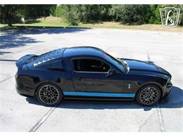 2013 Ford Shelby GT500  (CC-2081485) for sale in Lake Mary, Florida