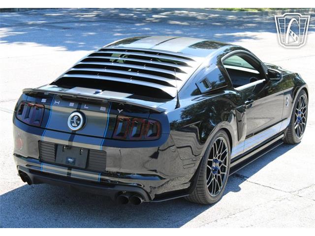 2013 Ford Shelby GT500  (CC-2081485) for sale in Lake Mary, Florida