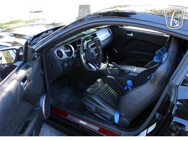 2013 Ford Shelby GT500  (CC-2081485) for sale in Lake Mary, Florida