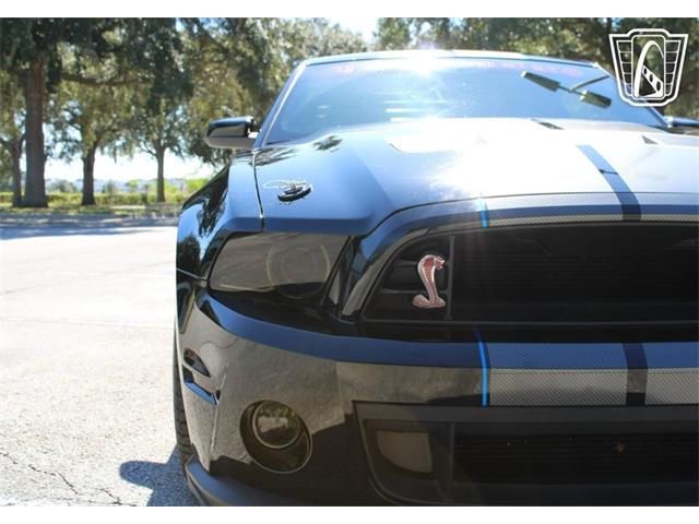 2013 Ford Shelby GT500  (CC-2081485) for sale in Lake Mary, Florida