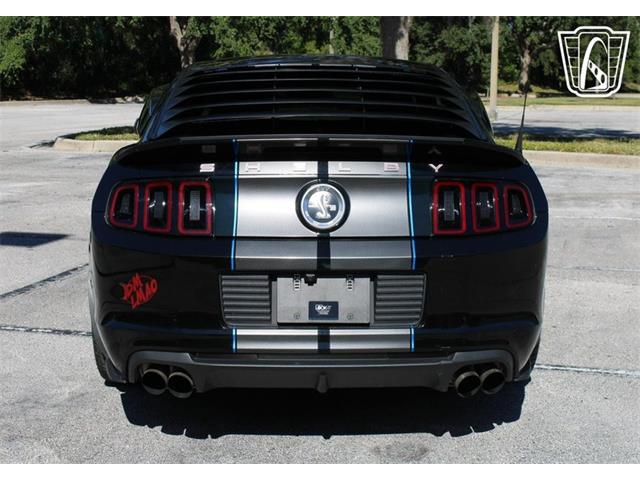 2013 Ford Shelby GT500  (CC-2081485) for sale in Lake Mary, Florida
