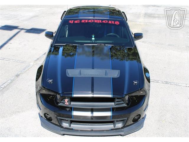 2013 Ford Shelby GT500  (CC-2081485) for sale in Lake Mary, Florida