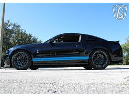 2013 Ford Shelby GT500  (CC-2081485) for sale in Lake Mary, Florida