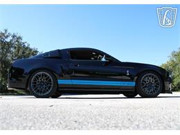 2013 Ford Shelby GT500  (CC-2081485) for sale in Lake Mary, Florida