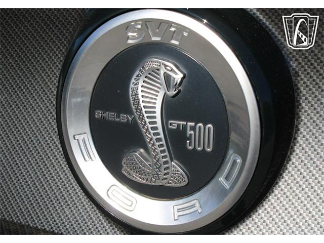 2013 Ford Shelby GT500  (CC-2081485) for sale in Lake Mary, Florida