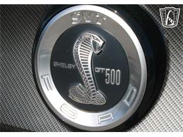 2013 Ford Shelby GT500  (CC-2081485) for sale in Lake Mary, Florida