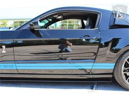 2013 Ford Shelby GT500  (CC-2081485) for sale in Lake Mary, Florida