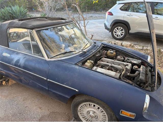 1974 Alfa Romeo Spider Veloce (CC-2081486) for sale in Cadillac, Michigan