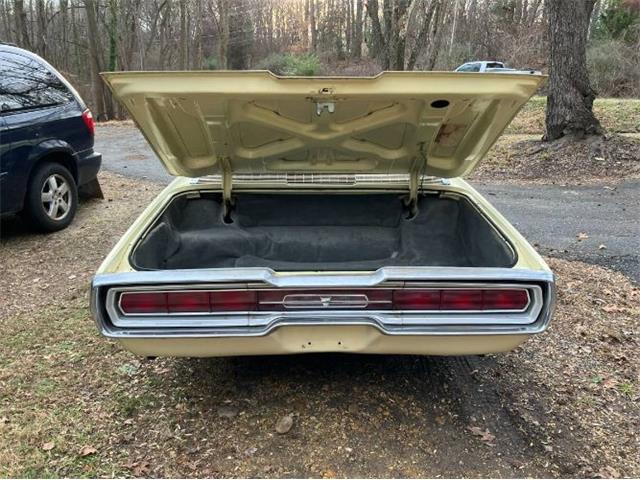 1966 Ford Thunderbird (CC-2081517) for sale in Cadillac, Michigan