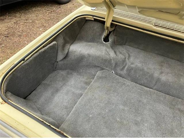 1966 Ford Thunderbird (CC-2081517) for sale in Cadillac, Michigan