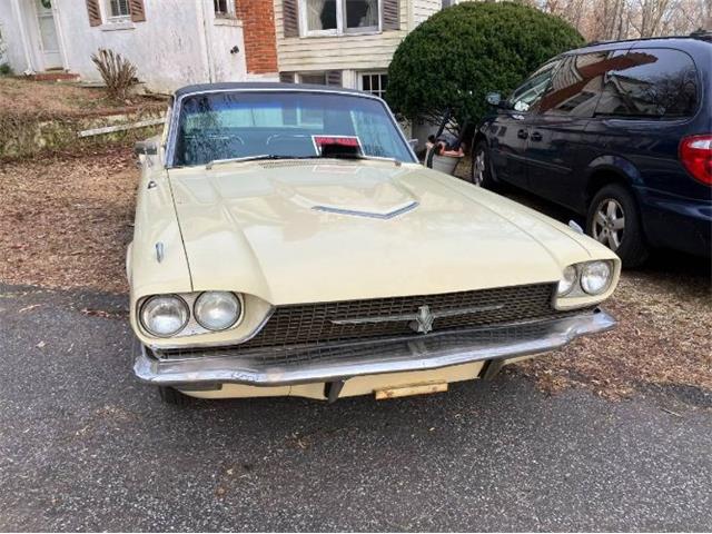 1966 Ford Thunderbird (CC-2081517) for sale in Cadillac, Michigan