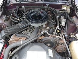 1986 Mercury Cougar (CC-2081550) for sale in Palmetto, Florida